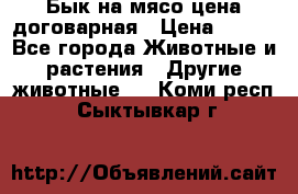 Бык на мясо цена договарная › Цена ­ 300 - Все города Животные и растения » Другие животные   . Коми респ.,Сыктывкар г.